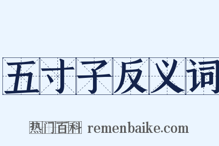 五寸子反义词是什么意思的图片
